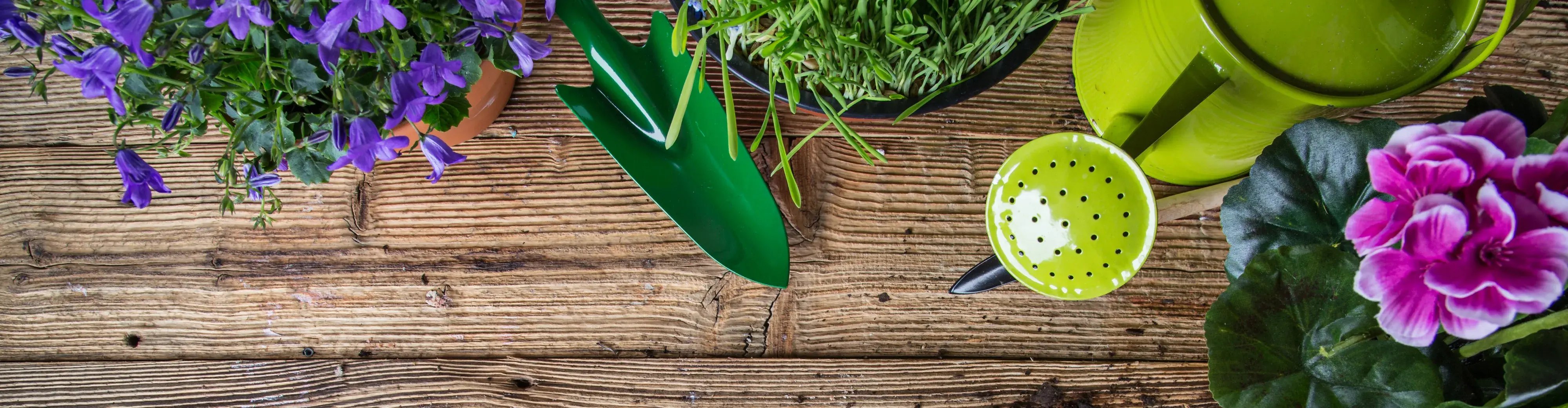 251017 Yates Gardening Comp Banner 1920x500