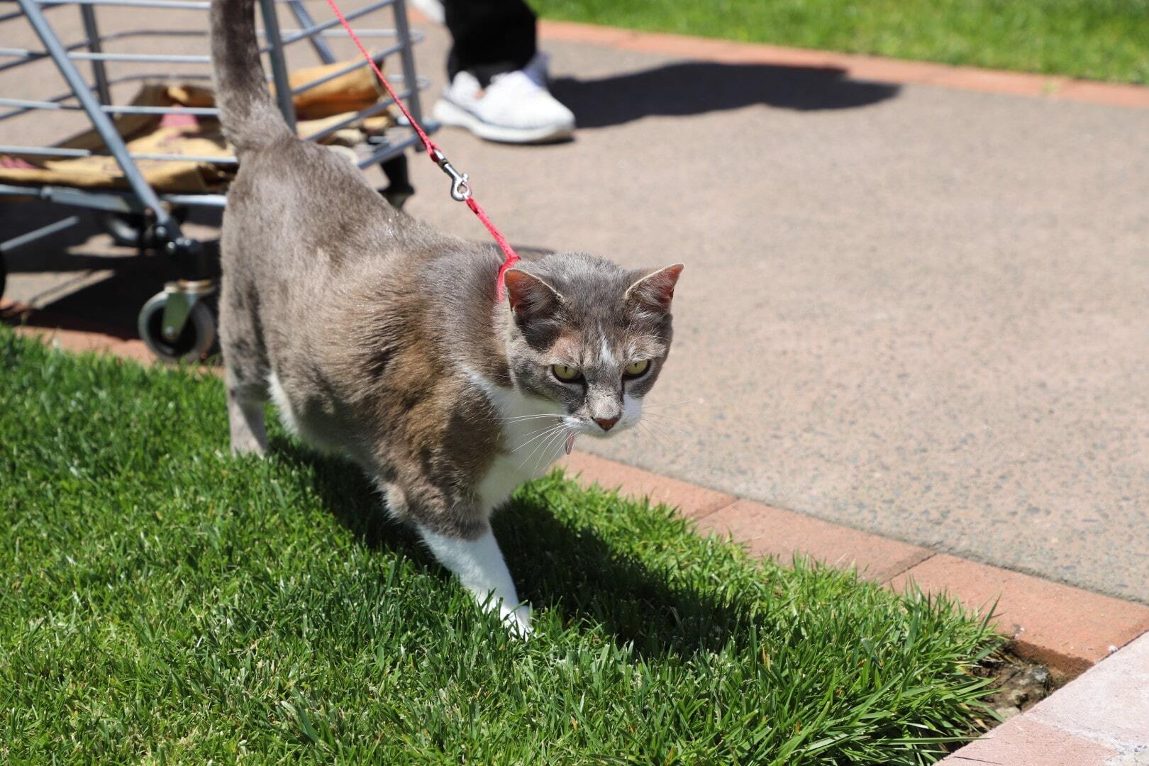 IMG_8961 (Large)-min