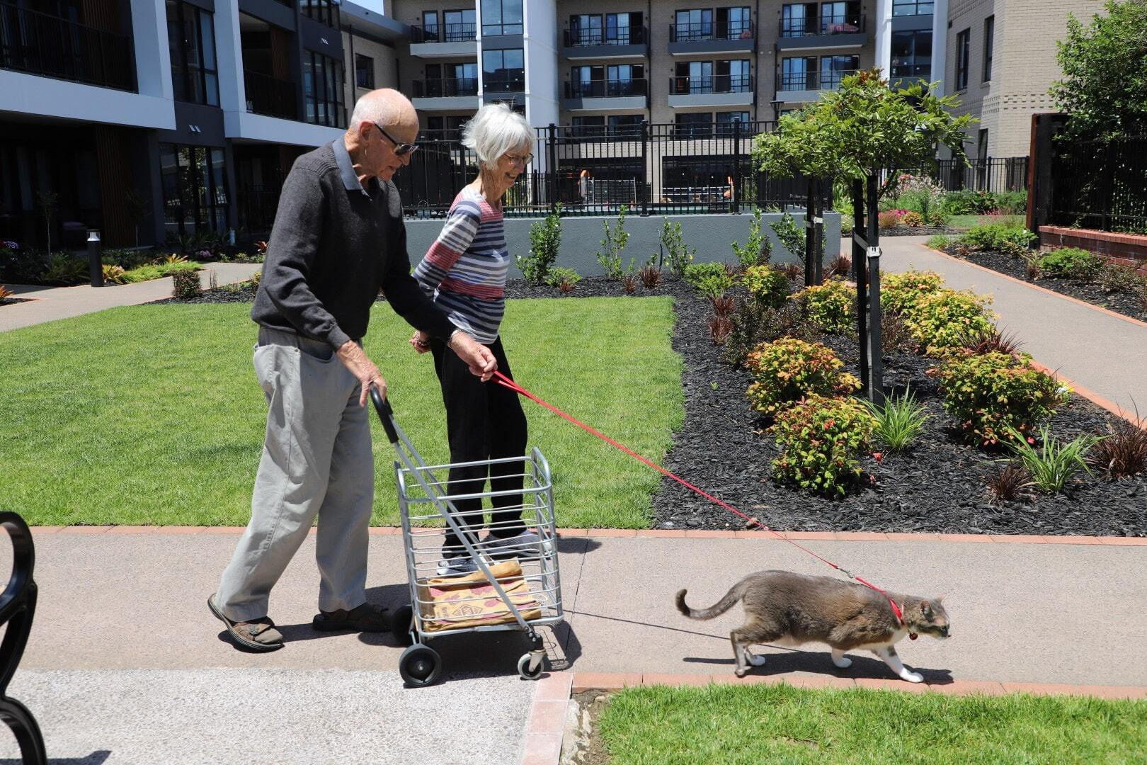 IMG_8962 (Large)-min