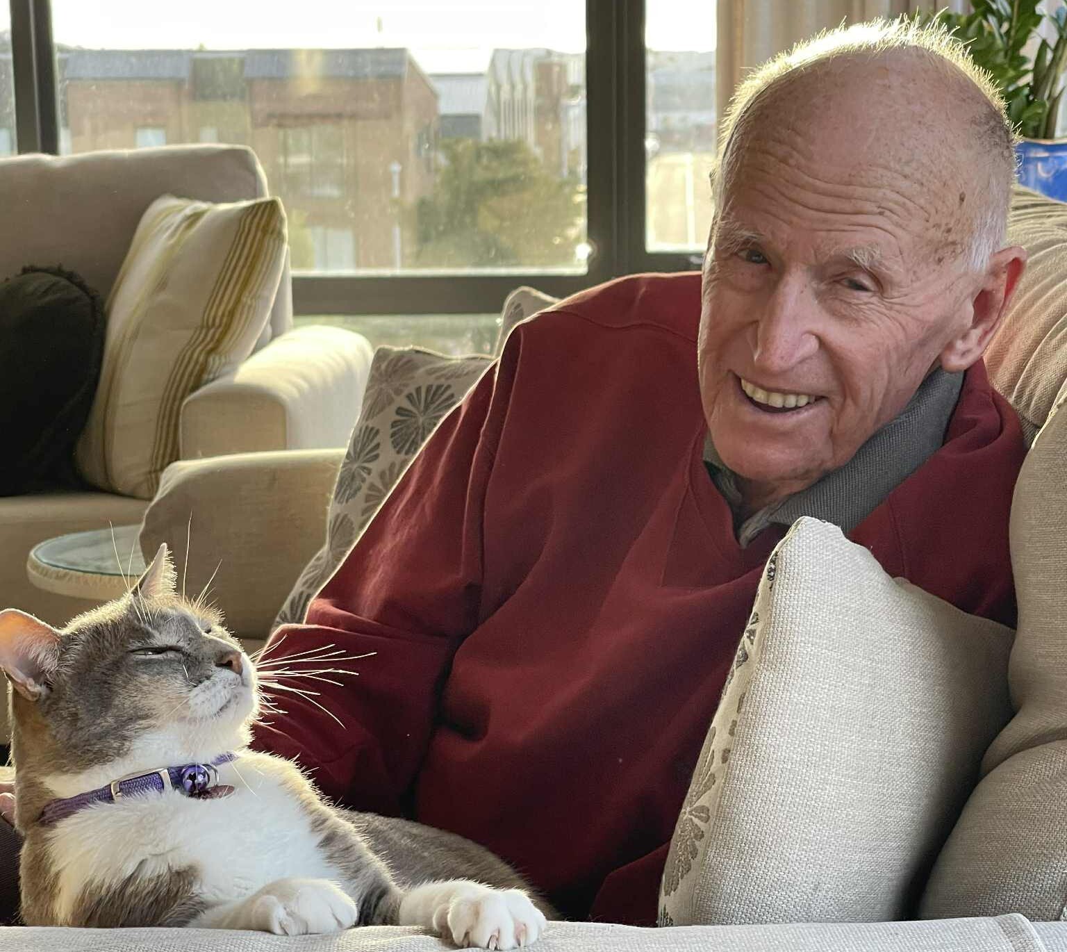 Angus the cat keeps widowed Wally company