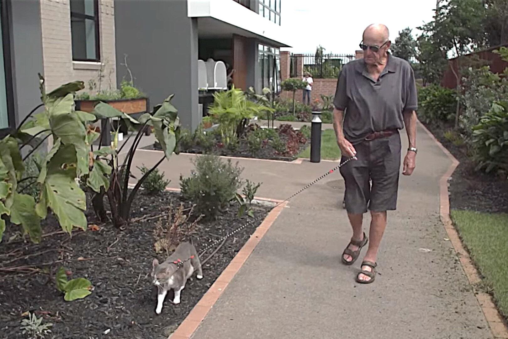 Screenshot (4) a (Large)-min