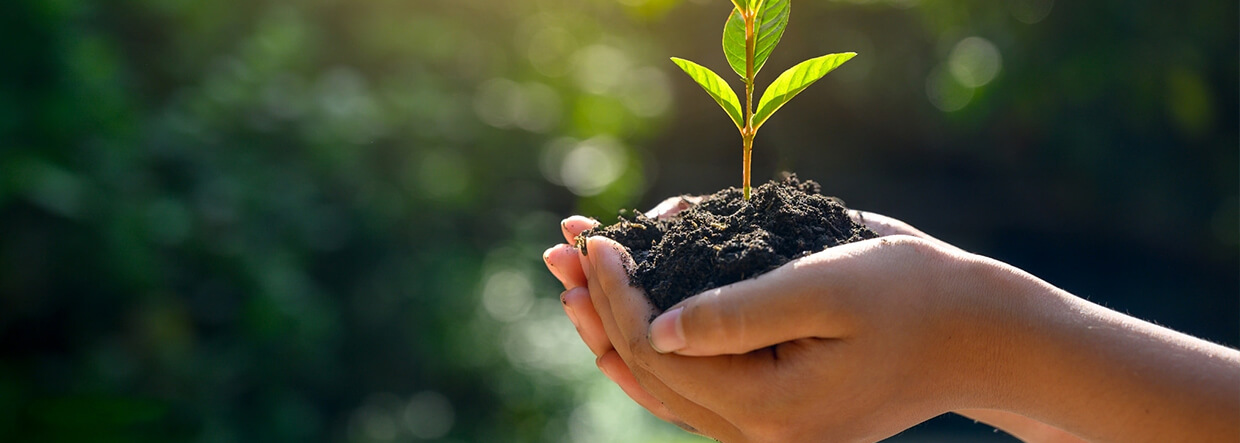 Wellbeing-banner-image-359064853 (1)