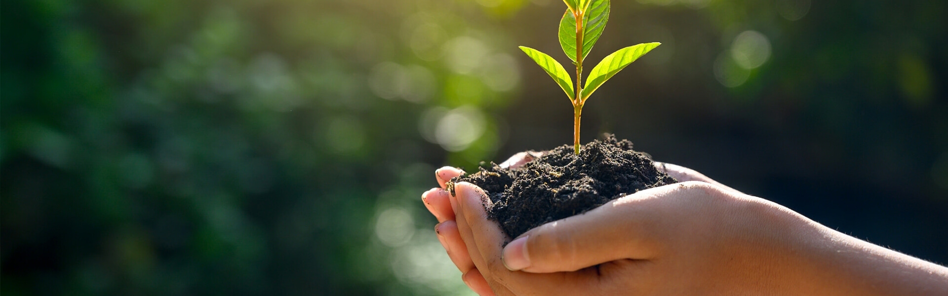 Wellbeing-page-hero Image-359064853 (1)