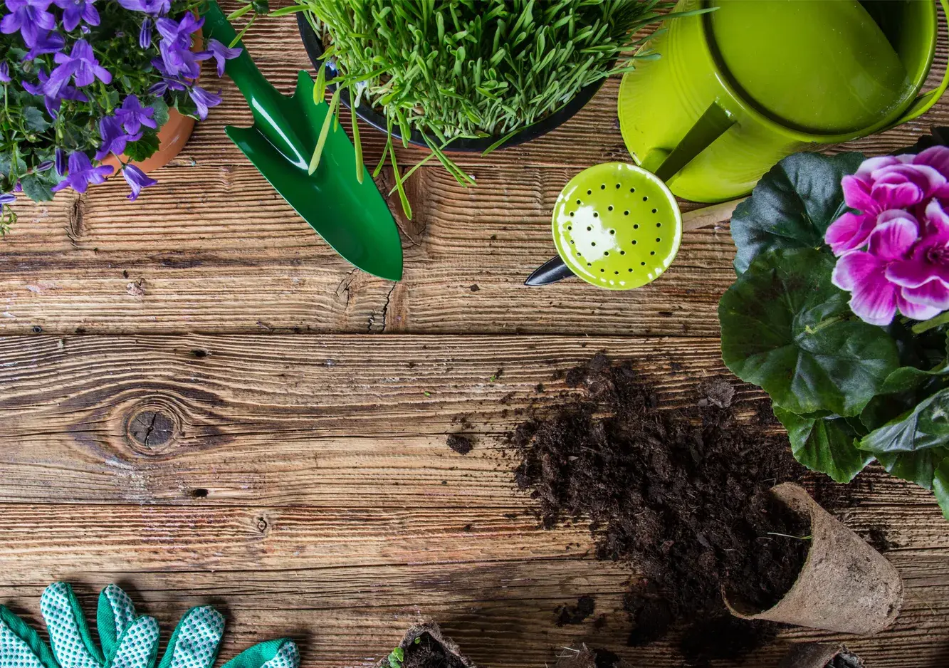 251017 Yates Gardening Comp Banner 640x450