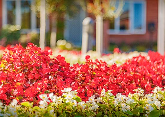 AR-mm-KOR_9991-call-to-action-500x375