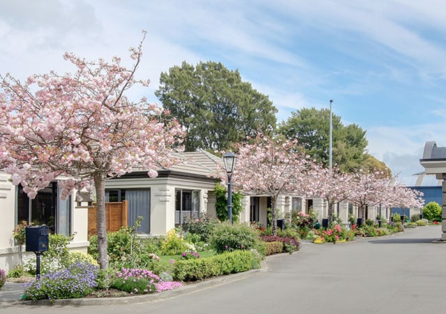 PA-Blossoms-640x450
