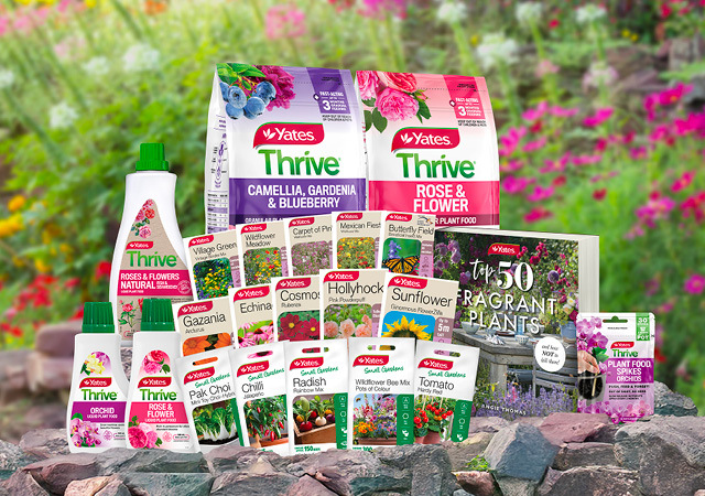 Yates Giveaway Hamper Yates Giveaway Hamper